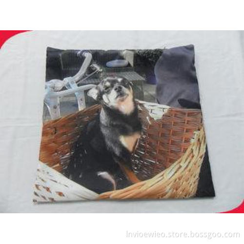 Cute Plain 40*40 cm Decorative Personalized Pillow Cases in